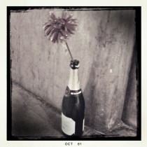 On the Walk Home: Paris